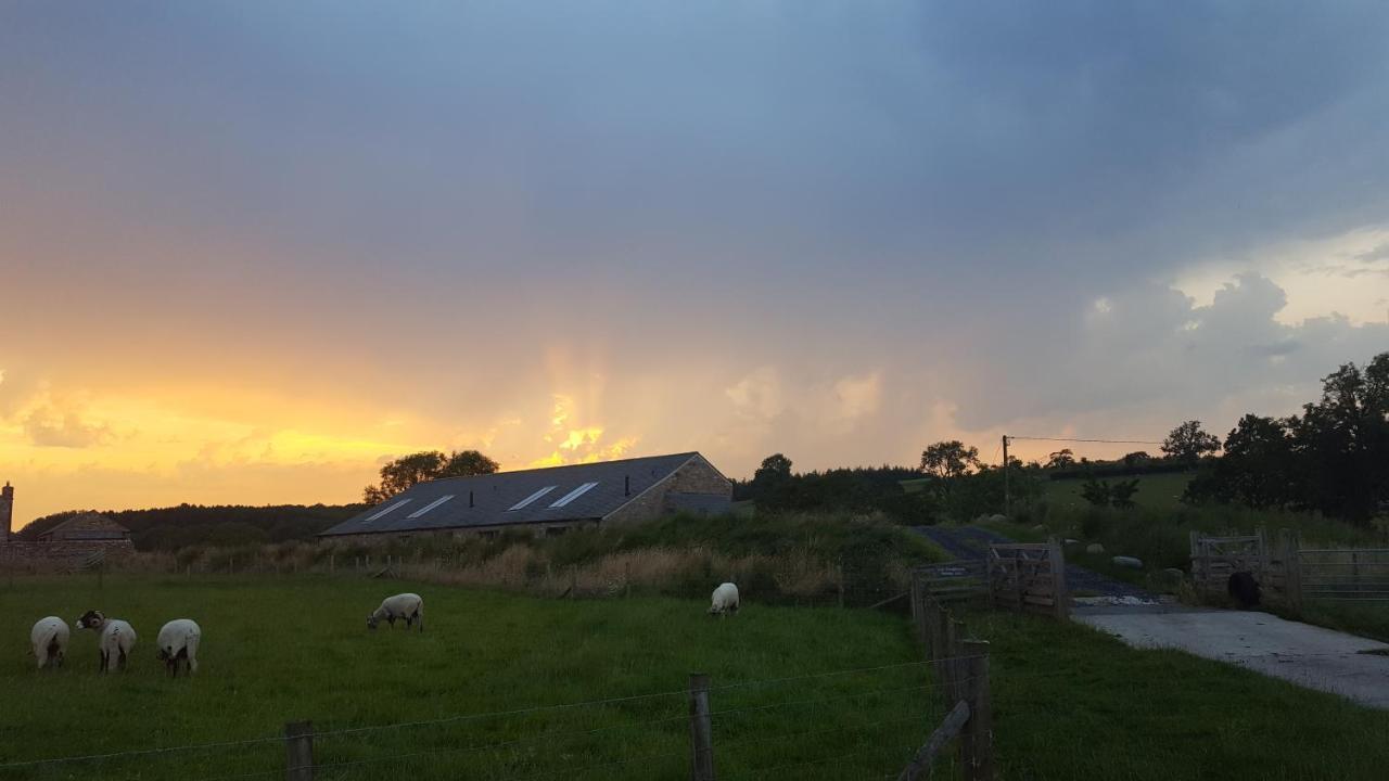 Keld Barn, Low Ploughlands Holiday Lets Kirkby Stephen Exterior foto